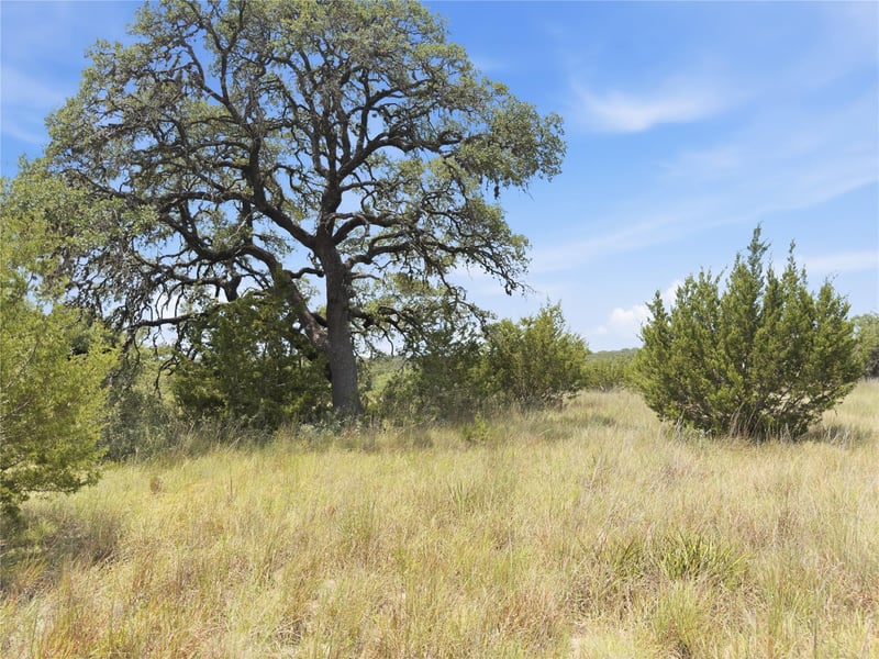 963 Summit Ridge Trail DR, Johnson City, TX 78636