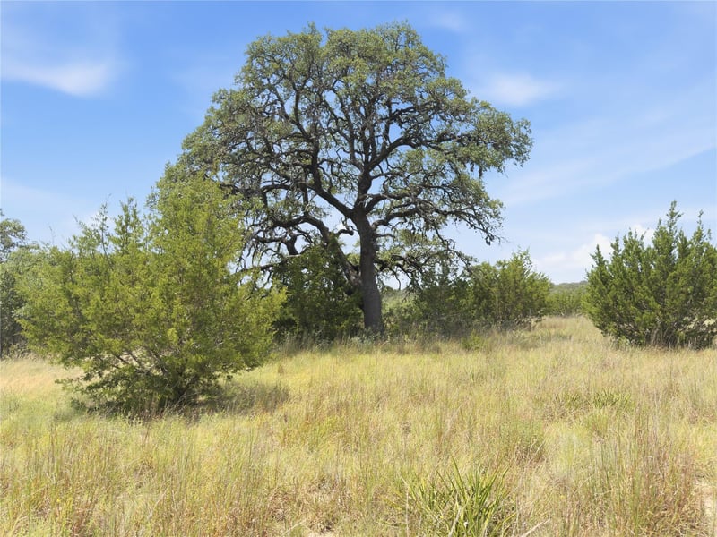 963 Summit Ridge Trail DR, Johnson City, TX 78636