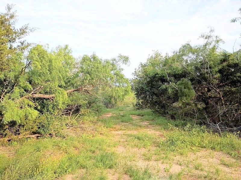 TBD Mesquite RD, Cedar Creek, TX 78612