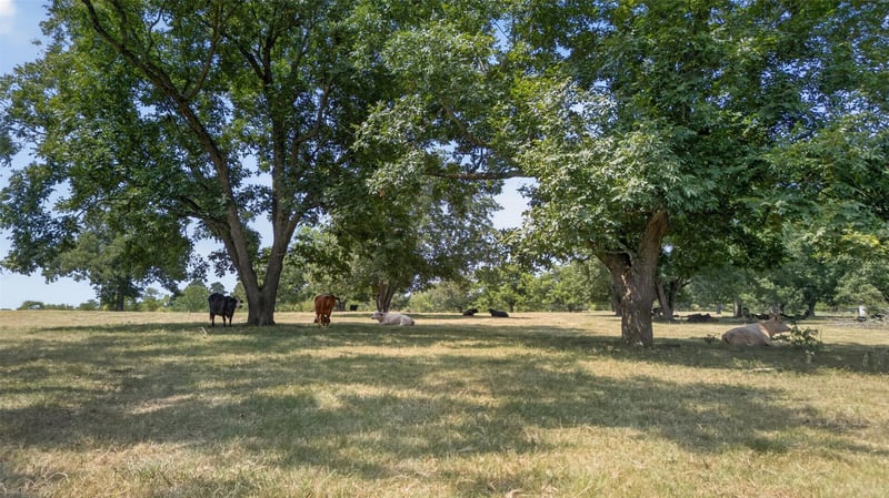 0 State Hwy 155 & Cr 435, Frankston, TX 75763
