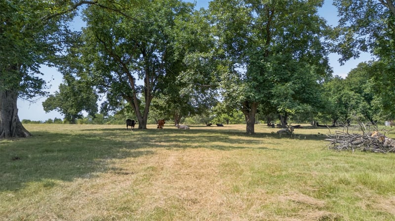 0 State Hwy 155 & Cr 435, Frankston, TX 75763