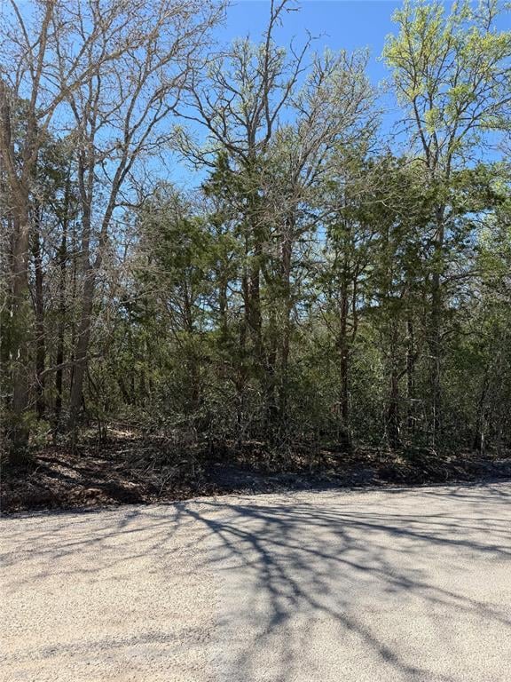 Lot 538 Iva LN, Bastrop, TX 78602