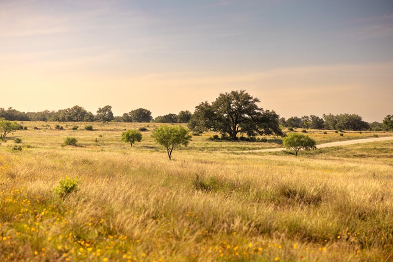 1755 Towhead Valley RD, Johnson City, TX 78636