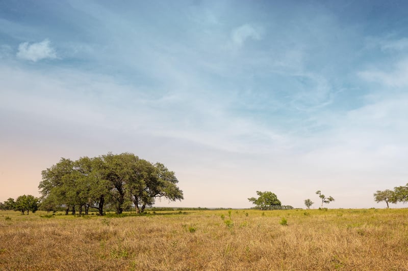 1755 Towhead Valley RD, Johnson City, TX 78636