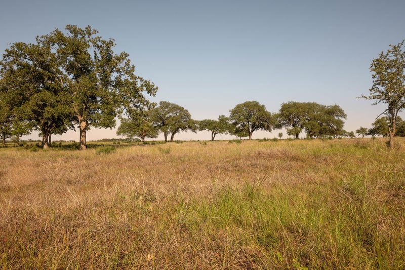 1755 Towhead Valley RD, Johnson City, TX 78636