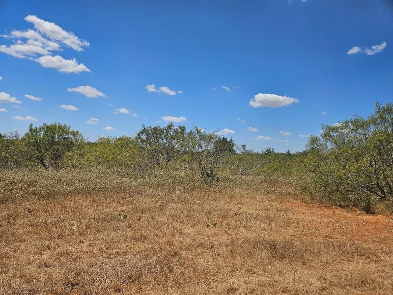 358 S Highway 95 S, Elgin, TX 78621