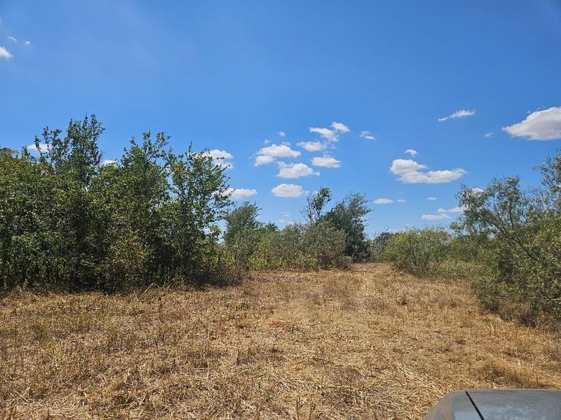 358 S Highway 95 S, Elgin, TX 78621