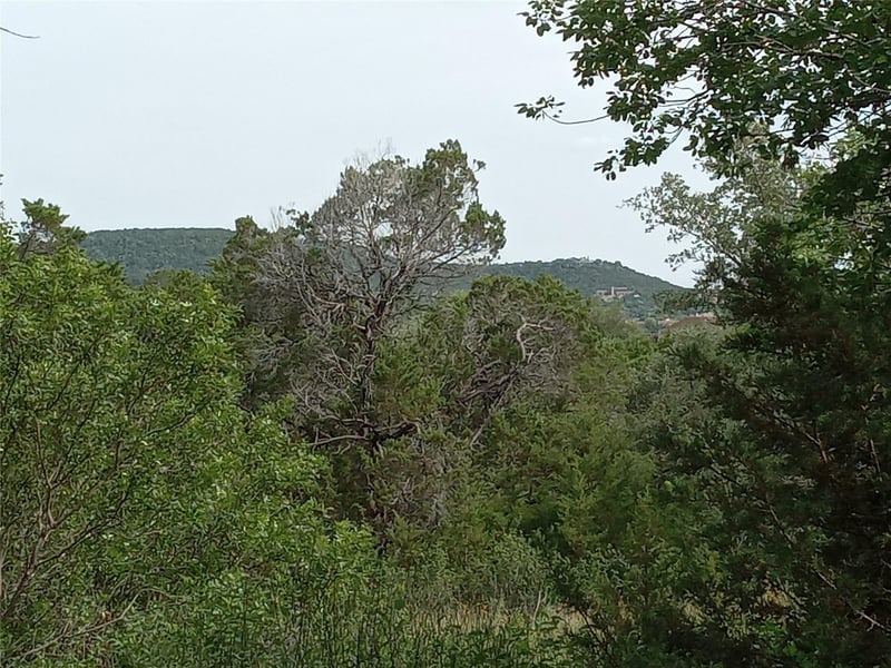 10213 Womack DR, Leander, TX 78641