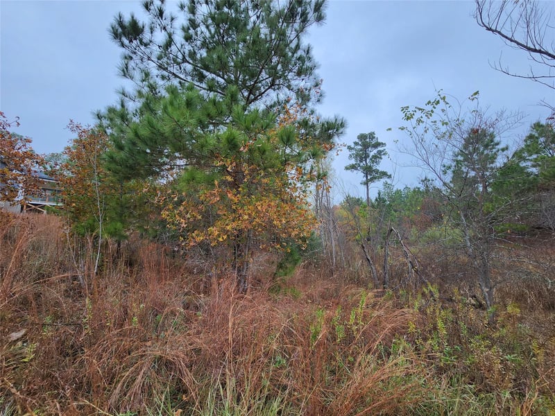 TBD Mahalo CT, Bastrop, TX 78602