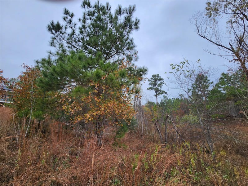 TBD Mahalo CT, Bastrop, TX 78602