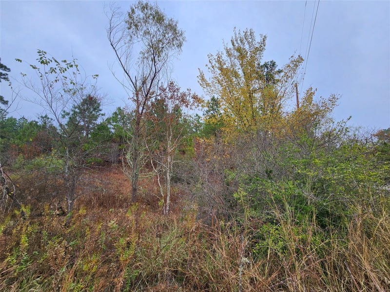 TBD Mahalo CT, Bastrop, TX 78602