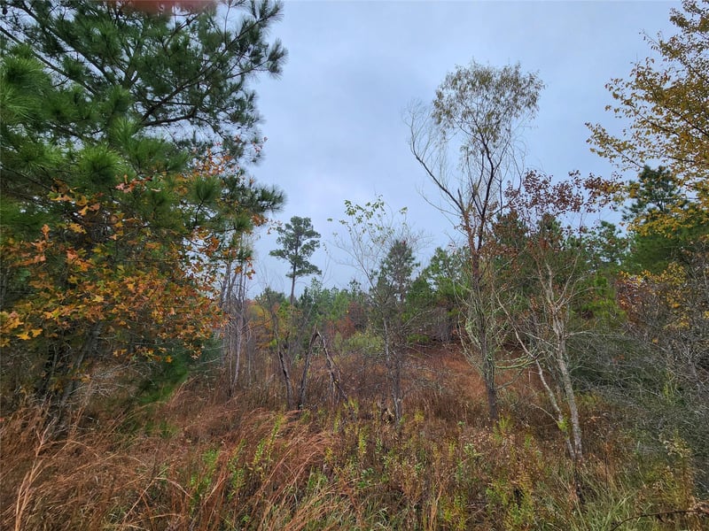 TBD Mahalo CT, Bastrop, TX 78602