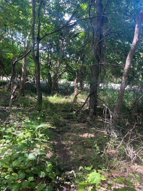 366 Riverside DR, Bastrop, TX 78602