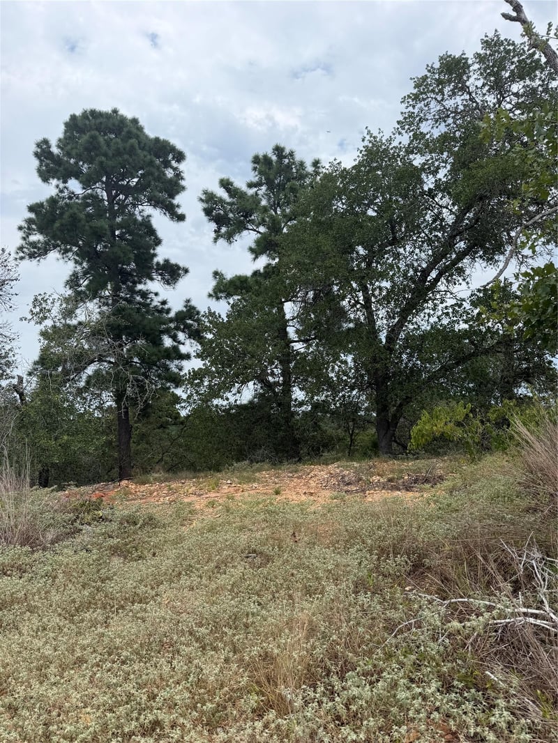 Lot 237 Kaelupulu DR, Bastrop, TX 78602