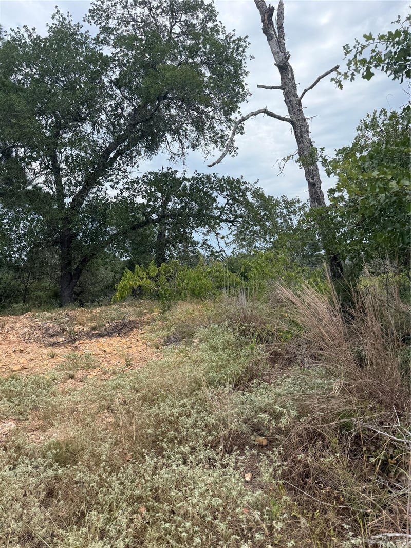 Lot 237 Kaelupulu DR, Bastrop, TX 78602