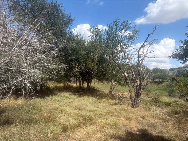 327 Mill Rn, New Braunfels, TX 78132