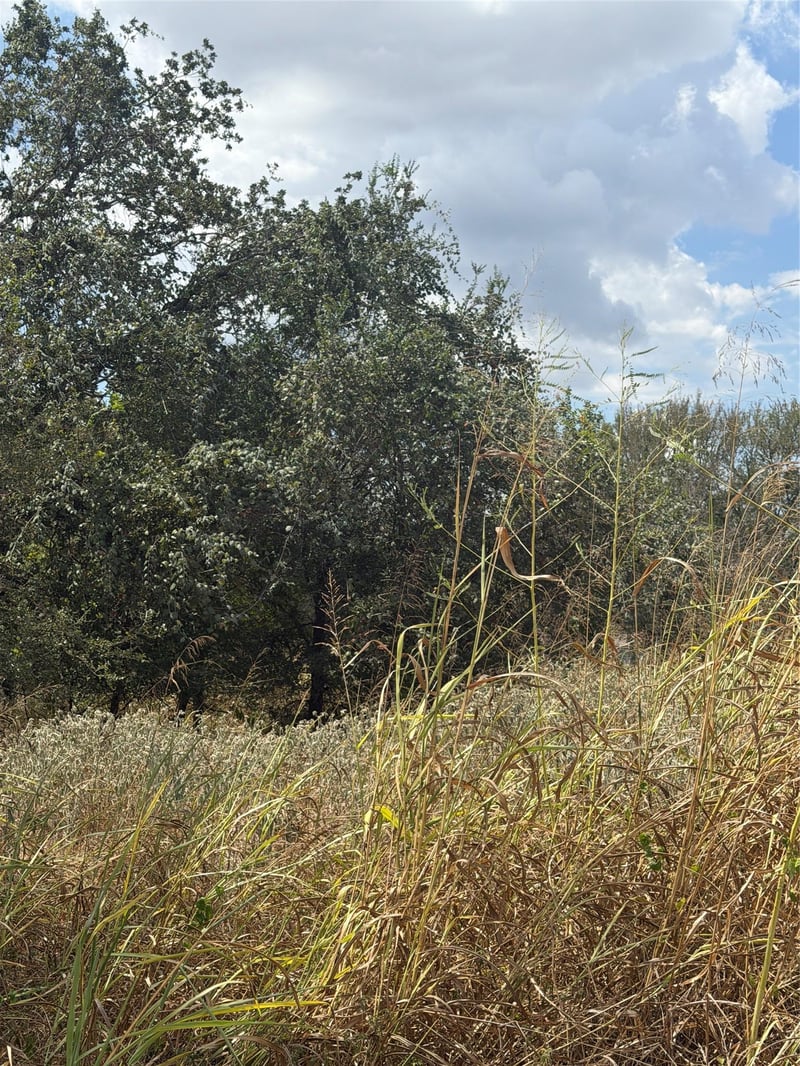 143 Kawainui LN, Bastrop, TX 78602