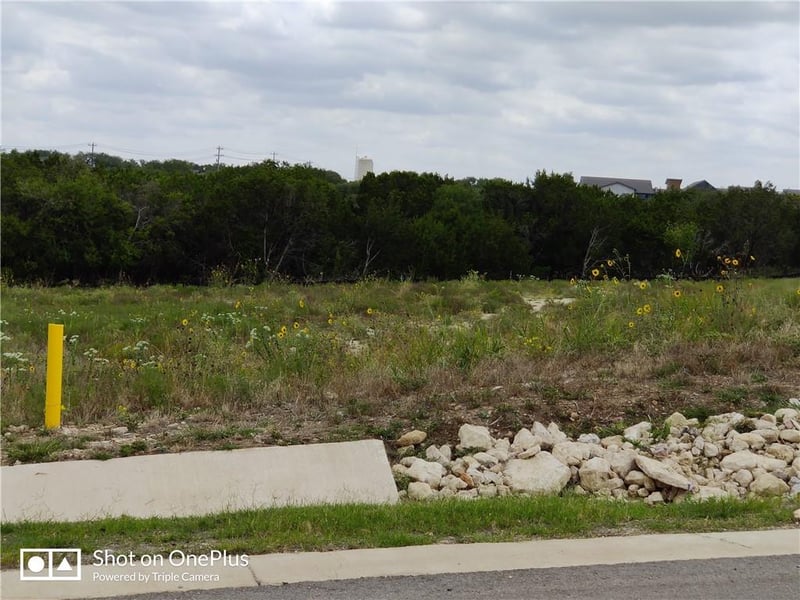 410 Whisenant LN, Dripping Springs, TX 78620