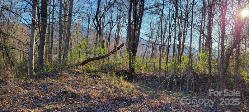 40 Rons Rg, Waynesville, NC 28785