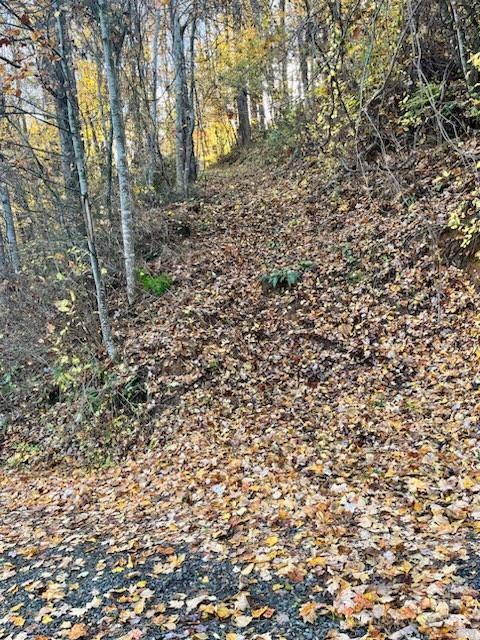 Whispering Winds Rd, Waynesville, NC 28751