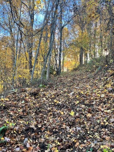 Whispering Winds Rd, Waynesville, NC 28751