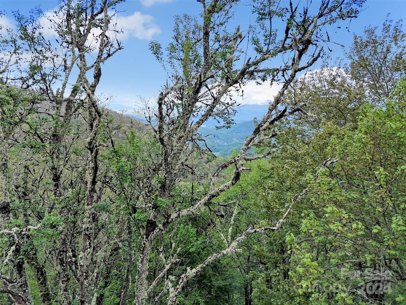 Lot 18 Quail Ridge Dr, Maggie Valley, NC 28751