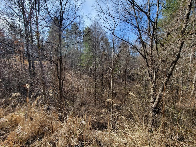 235 Macduff Ln #16, Weaverville, NC 28787