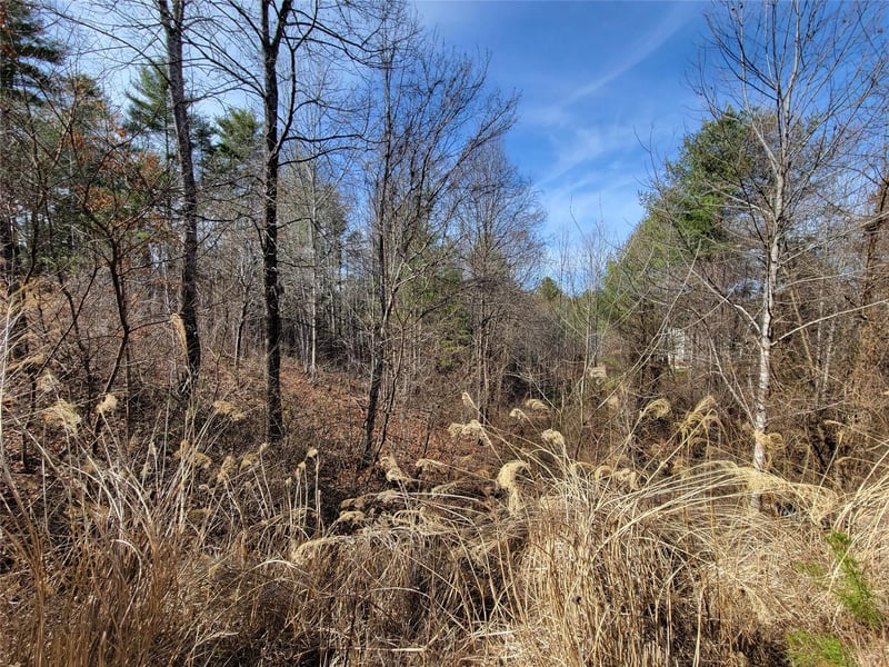 235 Macduff Ln #16, Weaverville, NC 28787