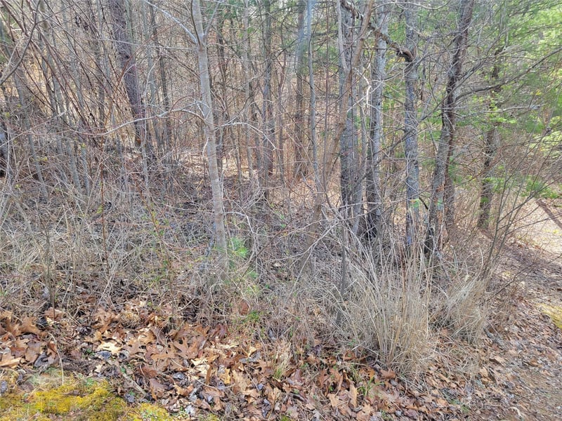 235 Macduff Ln #16, Weaverville, NC 28787
