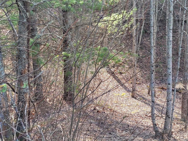 235 Macduff Ln #16, Weaverville, NC 28787