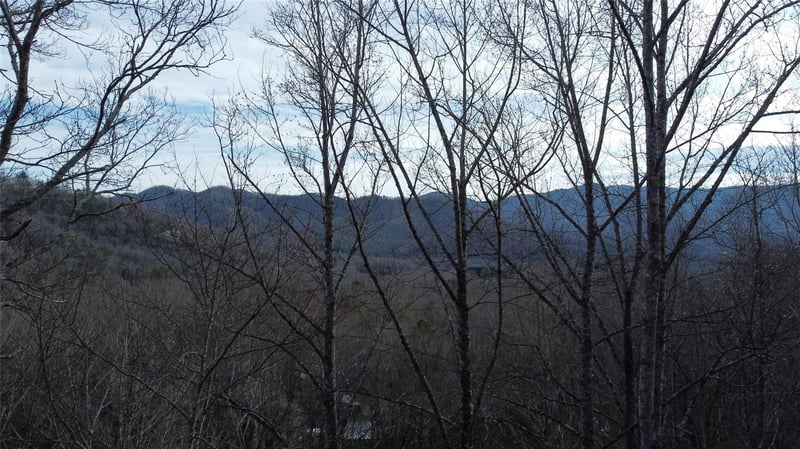 0000 Lookout Terrace Rd, Black Mountain, NC 28711