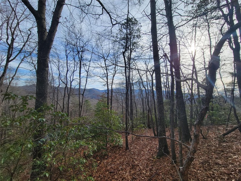 0000 Lookout Terrace Rd, Black Mountain, NC 28711