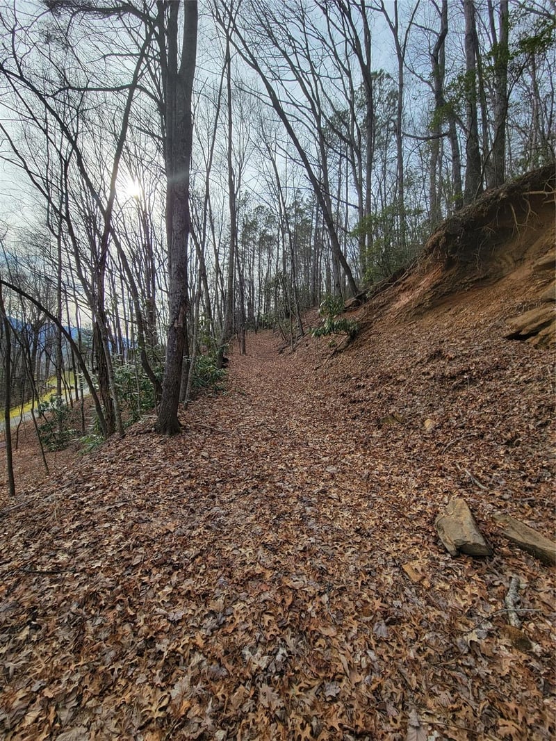 0000 Lookout Terrace Rd, Black Mountain, NC 28711