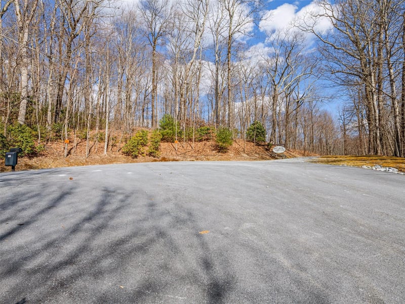 P 1-2 Panther Summit Dr, Lake Toxaway, NC 28747