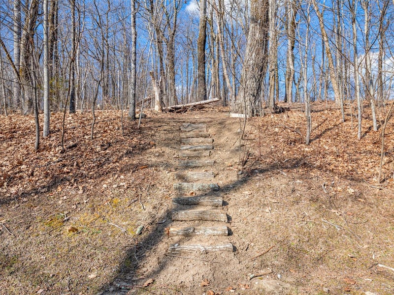 P 1-2 Panther Summit Dr, Lake Toxaway, NC 28747