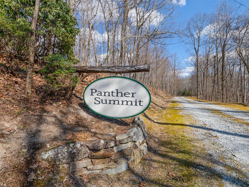 P 1-2 Panther Summit Dr, Lake Toxaway, NC 28747