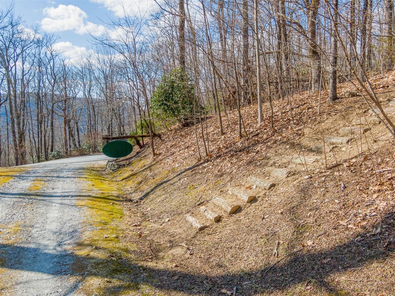 P 1-2 Panther Summit Dr, Lake Toxaway, NC 28747