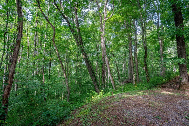 8 Resurrection Ln #8, Sylva, NC 28779