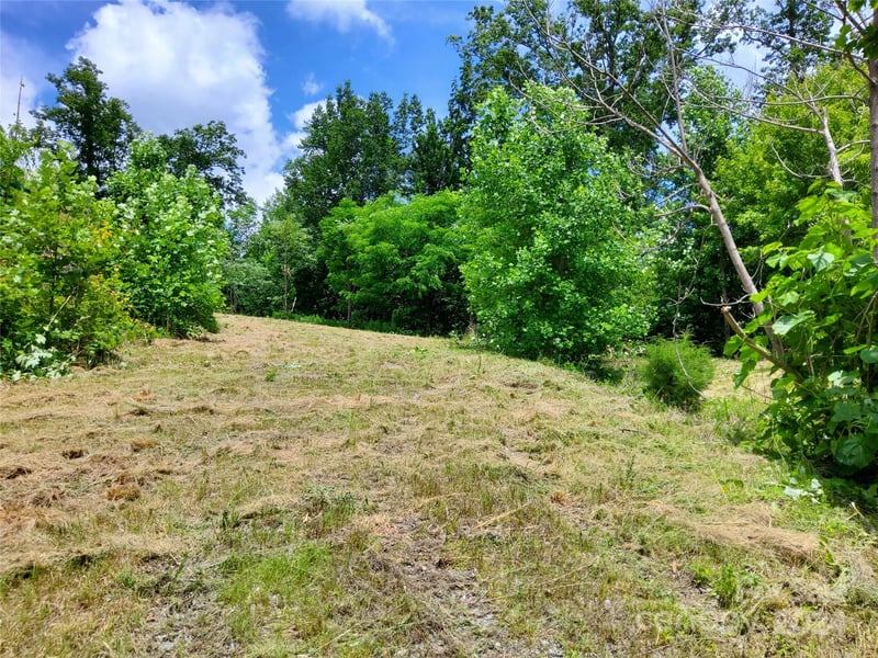 Bear Cliff Way #14, Lake Lure, NC 28746