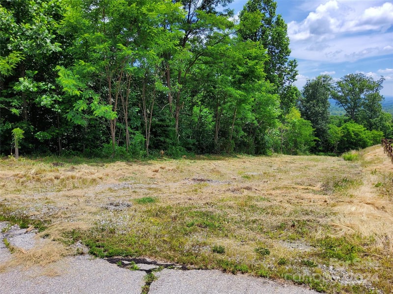 Bear Cliff Way #14, Lake Lure, NC 28746
