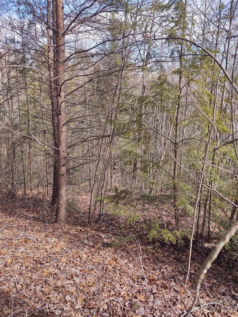 2 Riverview Forest Dr #2, Marion, NC 28752
