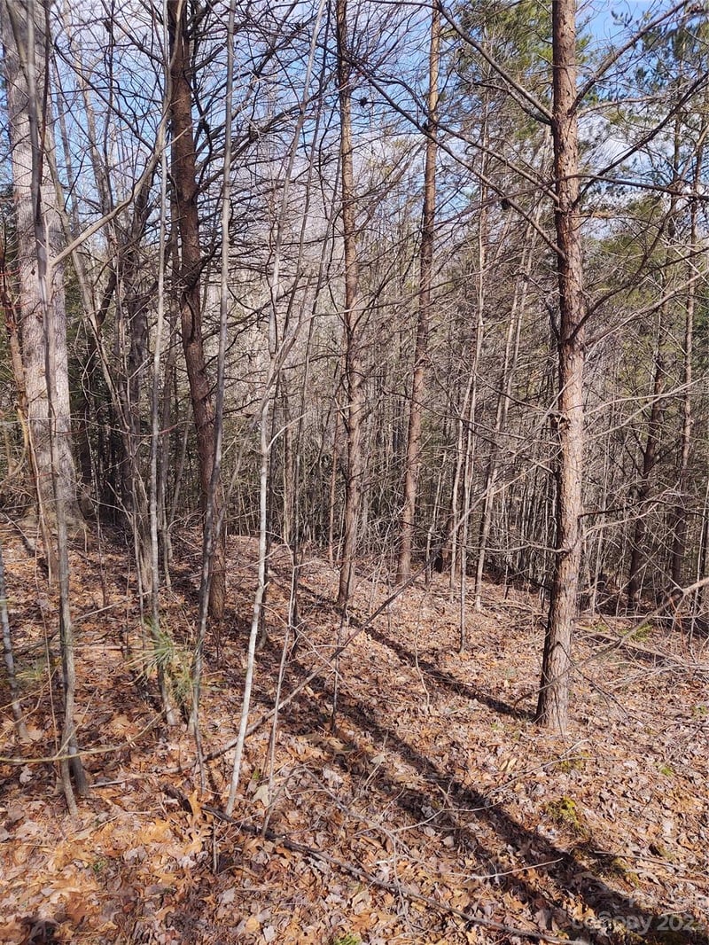 2 Riverview Forest Dr #2, Marion, NC 28752