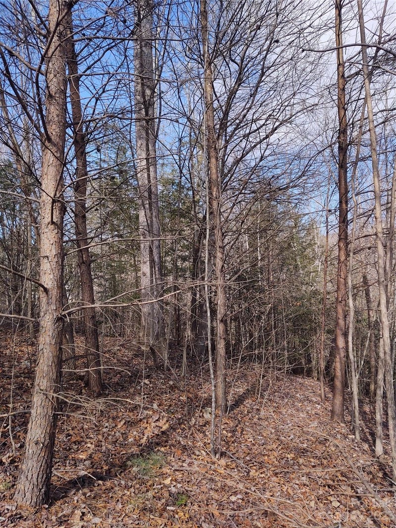 2 Riverview Forest Dr #2, Marion, NC 28752
