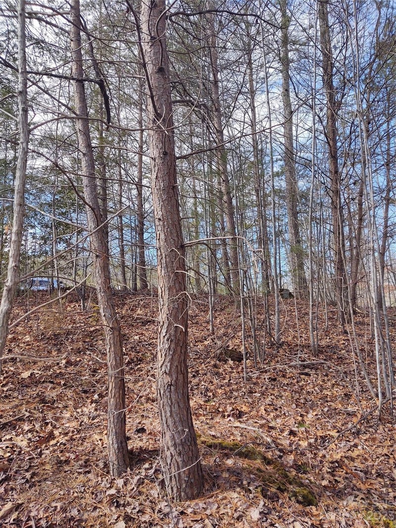 2 Riverview Forest Dr #2, Marion, NC 28752