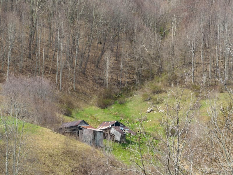 00 Wesley Creek Rd, Clyde, NC 28721