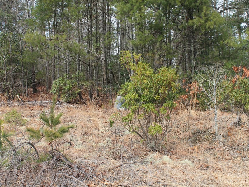 0000 Wildlife Trl #.84 ACRES, Hendersonville, NC 28739