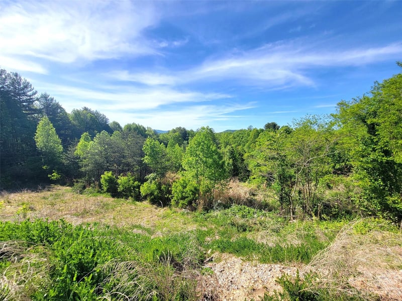 99999 Airport Rd, Arden, NC 28704