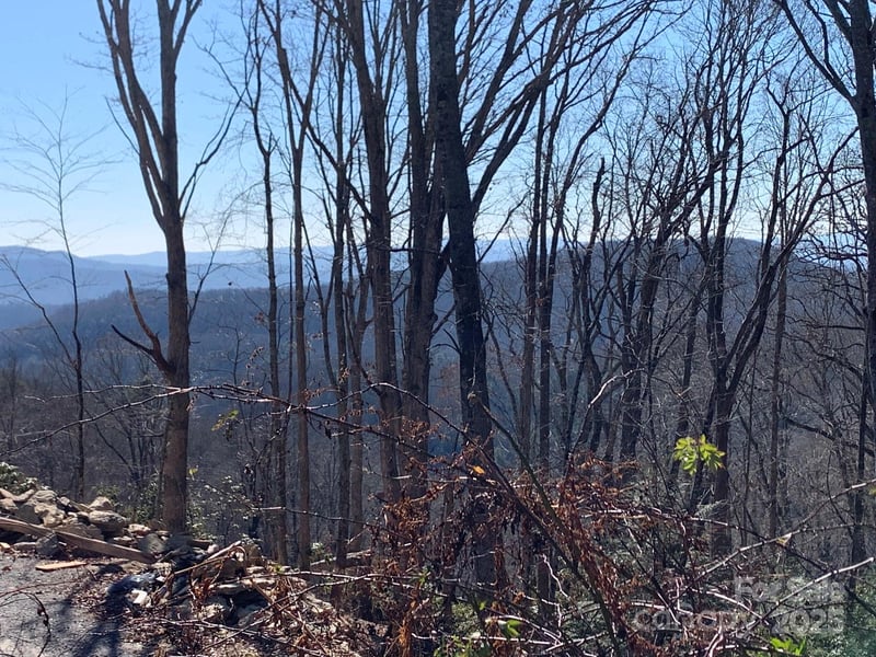9999 Ebby Ridge Dr #336, Fairview, NC 28730