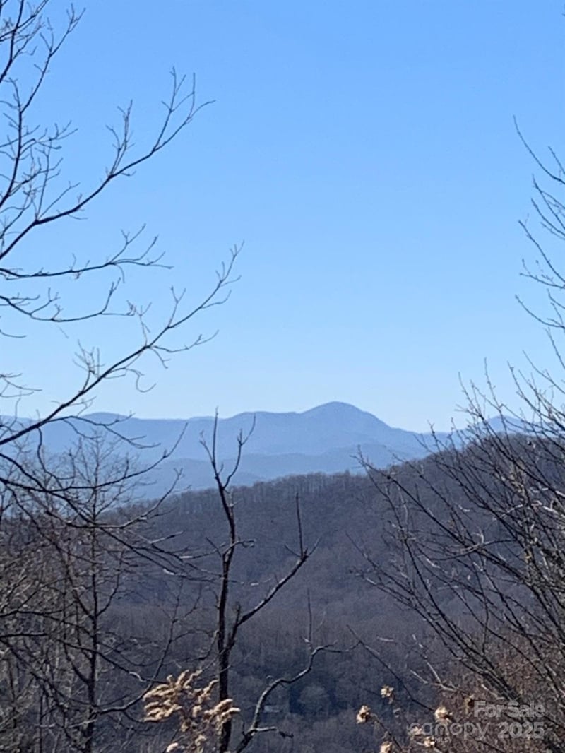 9999 Ebby Ridge Dr #340, Fairview, NC 28730
