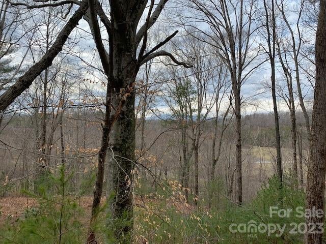 Lot 6 Theresa Terrace Meadows #6, Nebo, NC 28761